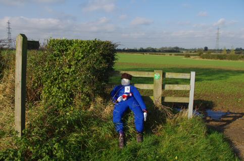 {short description of image}