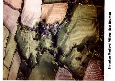 aerial~1.jpg
