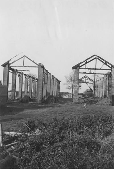barnbu~1.jpg