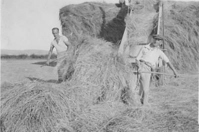 straw11.jpg