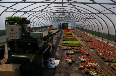 imgp0337.jpg